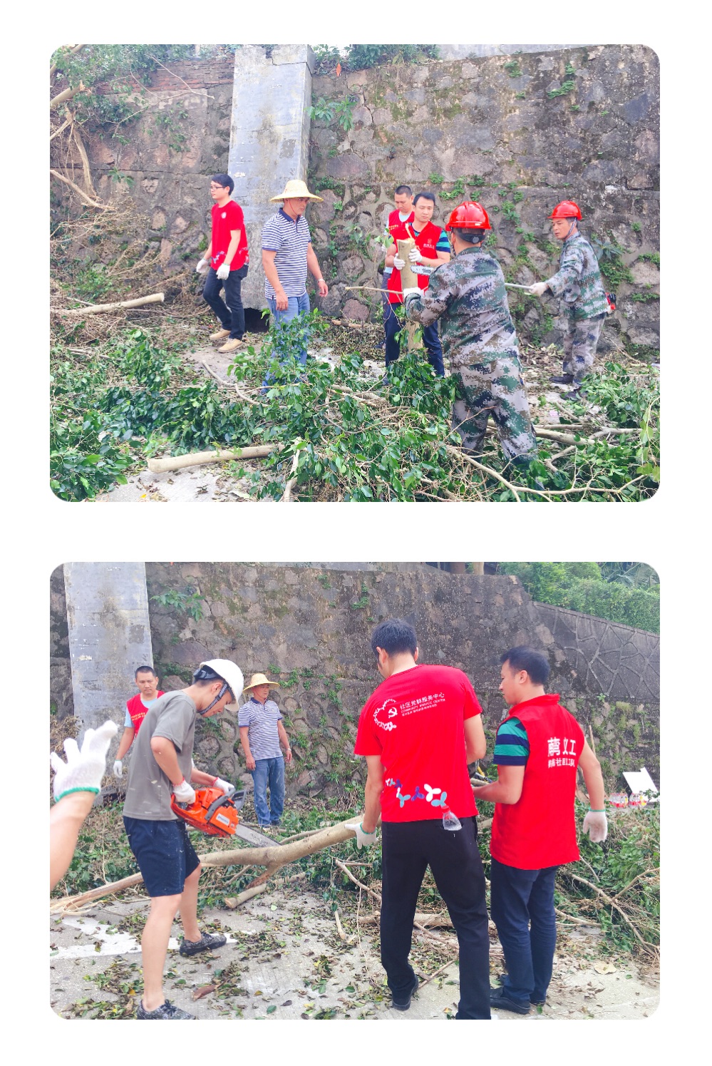 【樟树布党委】致无私奉献的志愿者团队，台风过后最耀眼的光芒1.jpg
