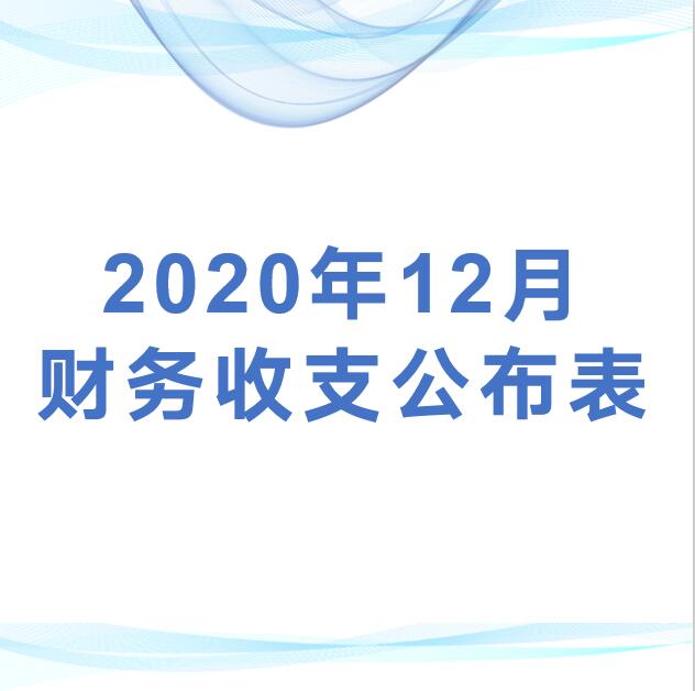 深圳市平湖股份合作公司监事会审议2020年12月收支公布表