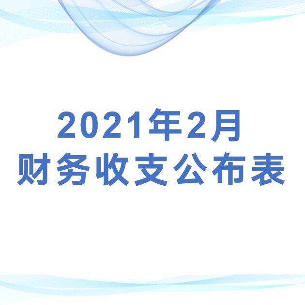 深圳市平湖股份合作公司监事会审议2021年2月财务收支公布表
