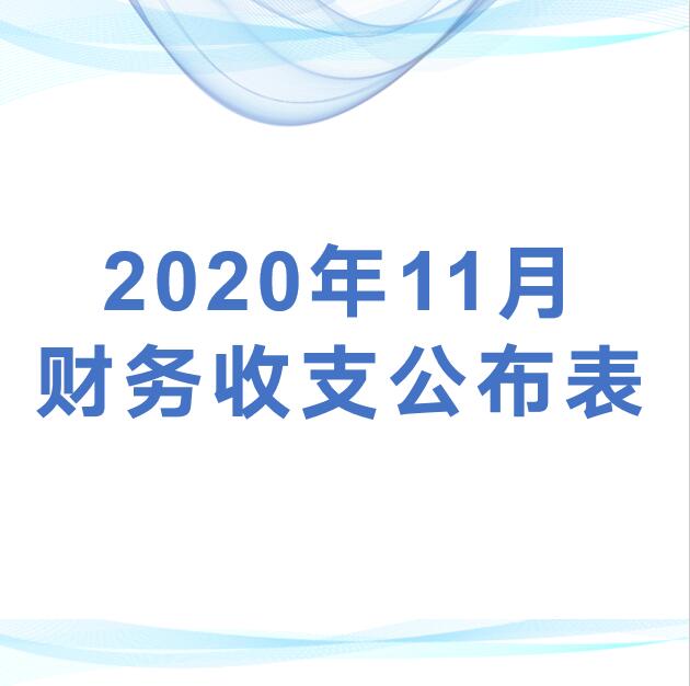 深圳市平湖股份合作公司监事会审议财务公布2020年11月