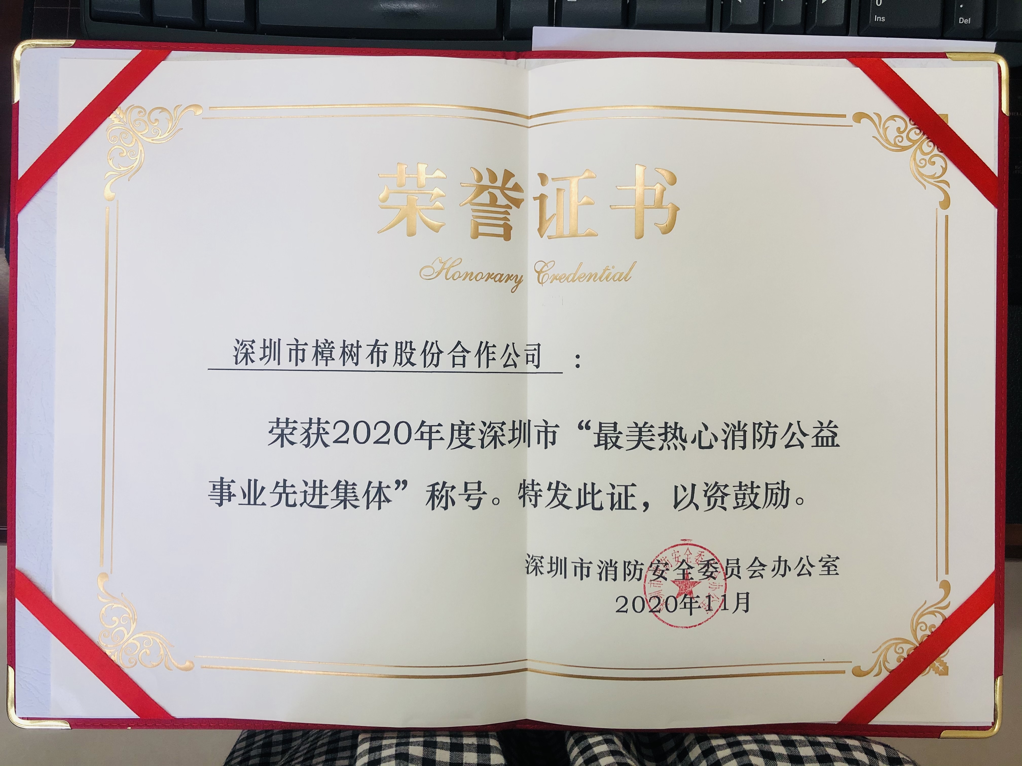 荣获2020年度深圳市“最美热心消防公益事业先进集体”称号