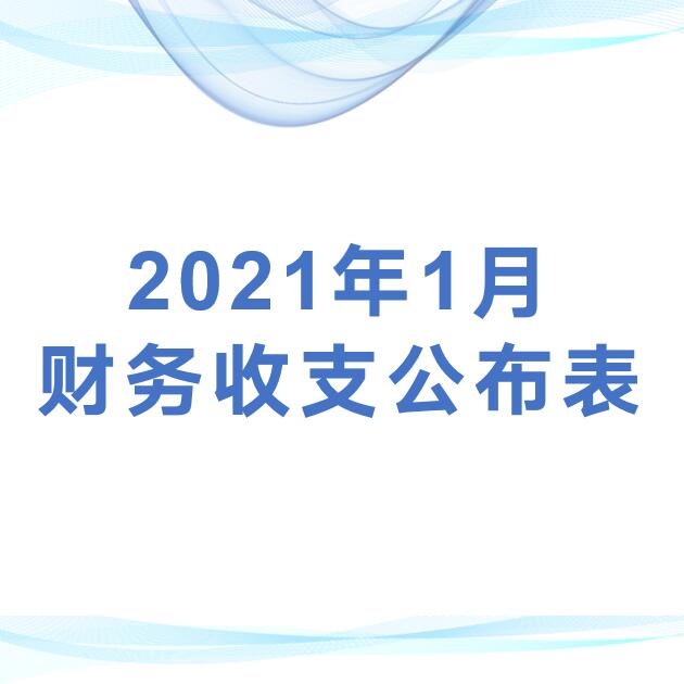 深圳市平湖股份合作公司监事会审议2021年1月财务收支公布表