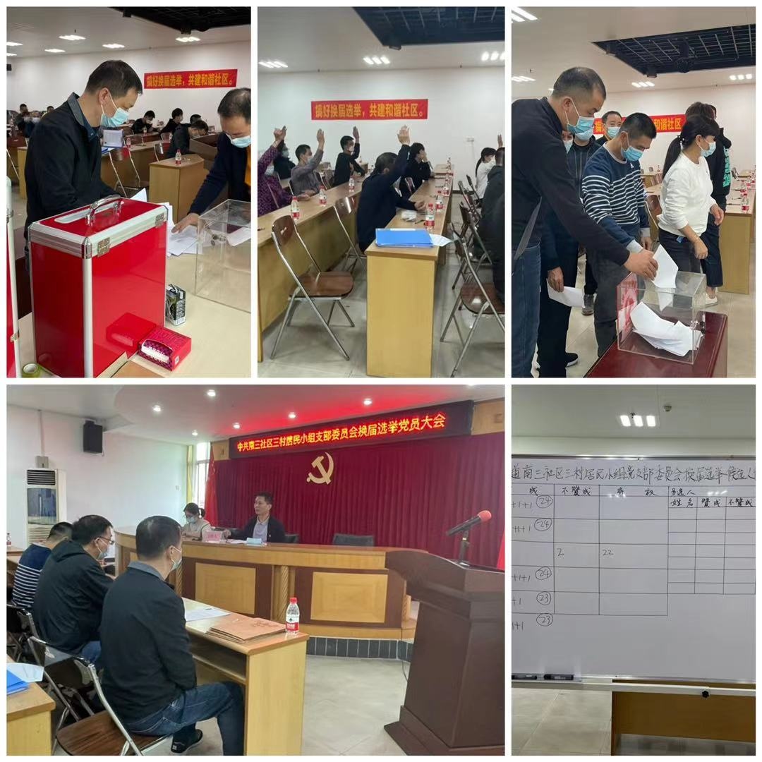 中共南三社区三村居民小组支部委员会换届选举党委大会2021.1.26